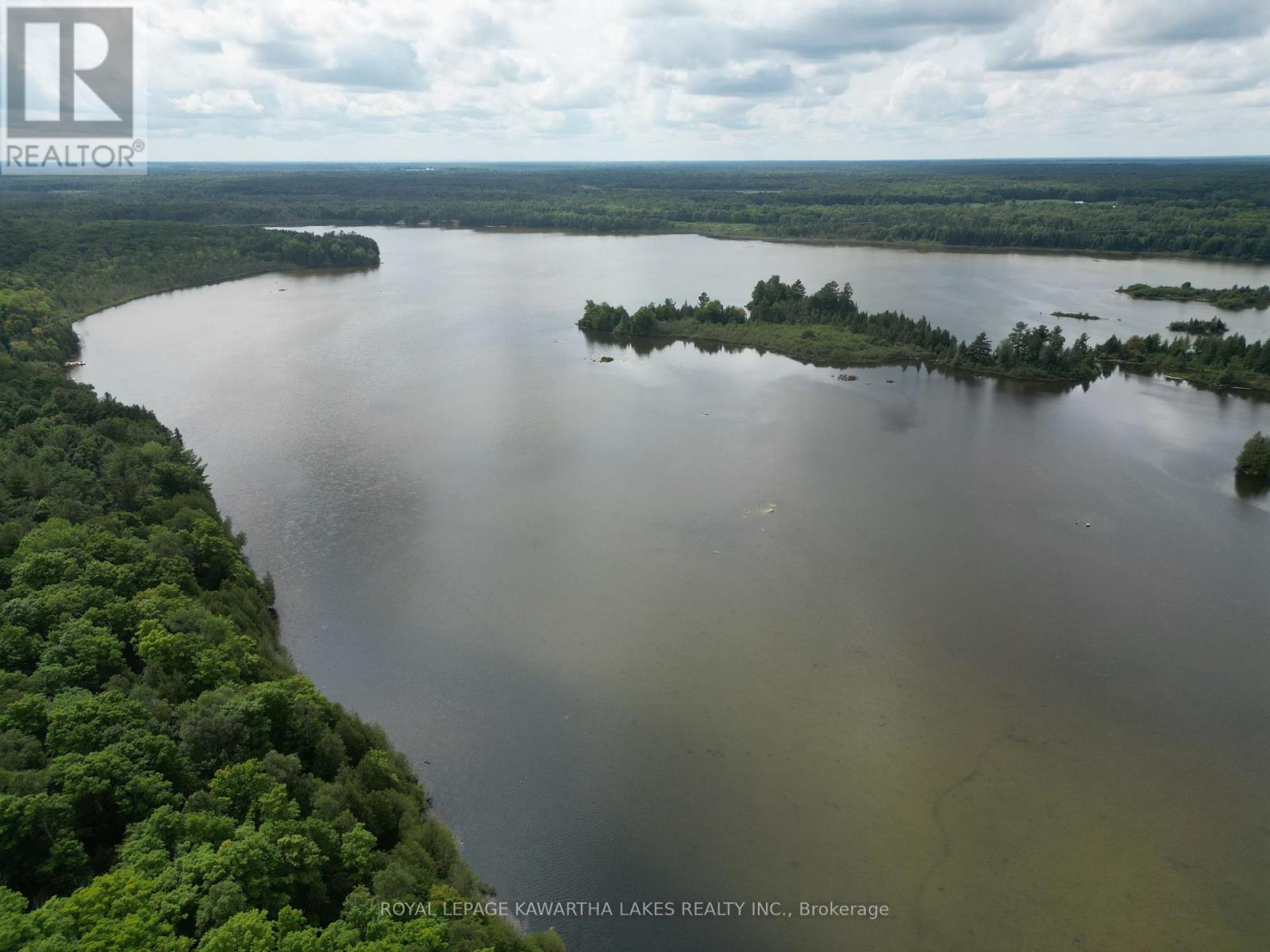 689 Bexley Laxton Twp Line, Kawartha Lakes, Ontario  K0M 1K0 - Photo 42 - X11966829