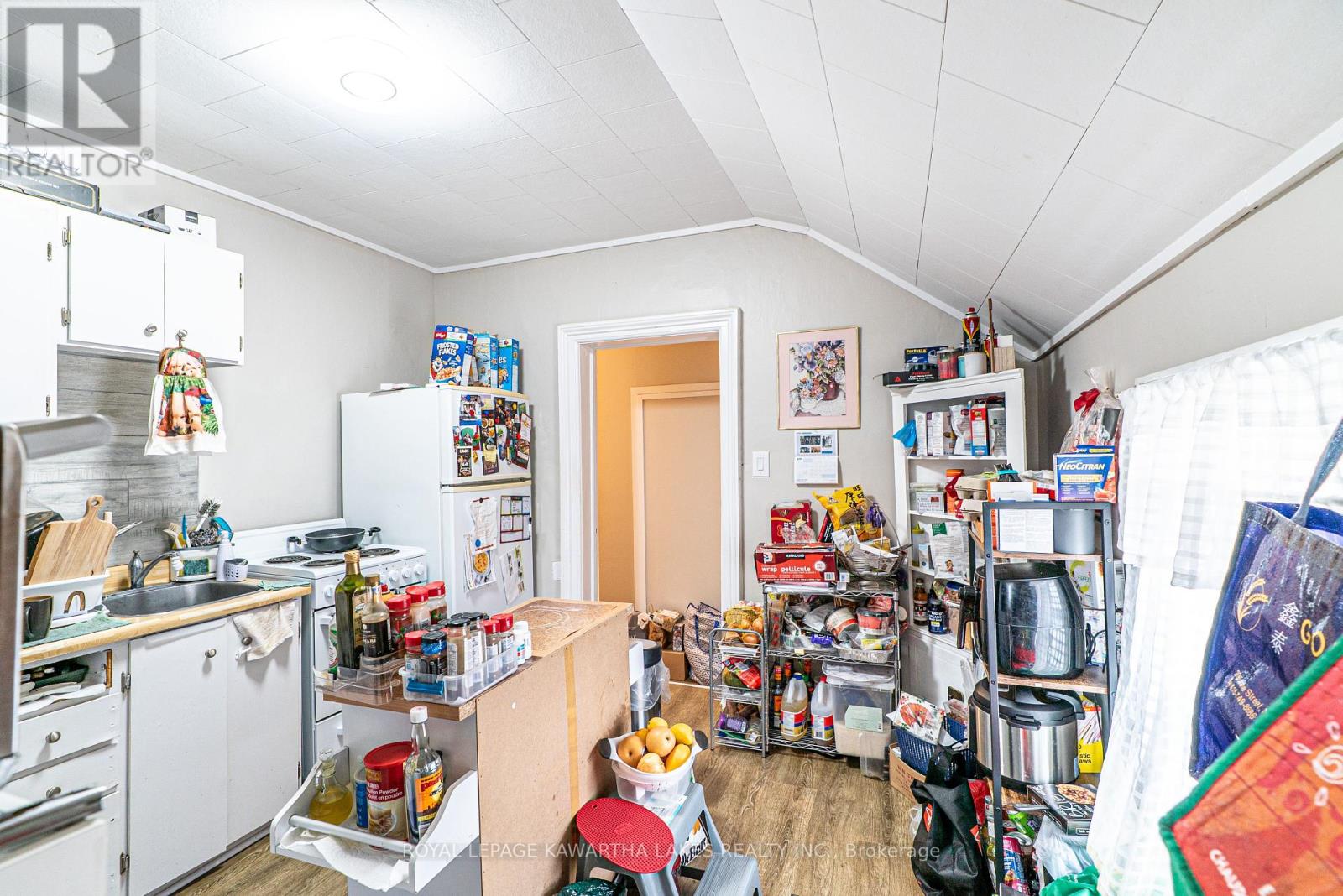86 Lindsay Street S, Kawartha Lakes, Ontario  K9V 2M3 - Photo 11 - X12113382