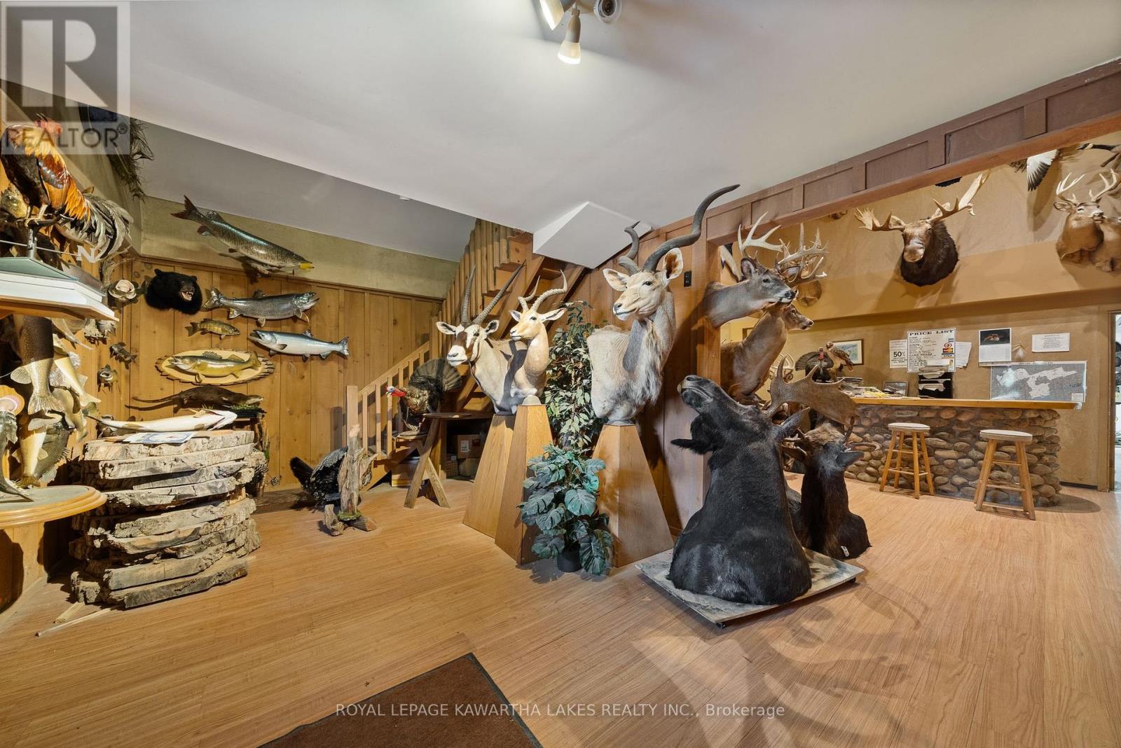 890 Woodville Road, Kawartha Lakes, Ontario  K0M 2T0 - Photo 42 - X12114658