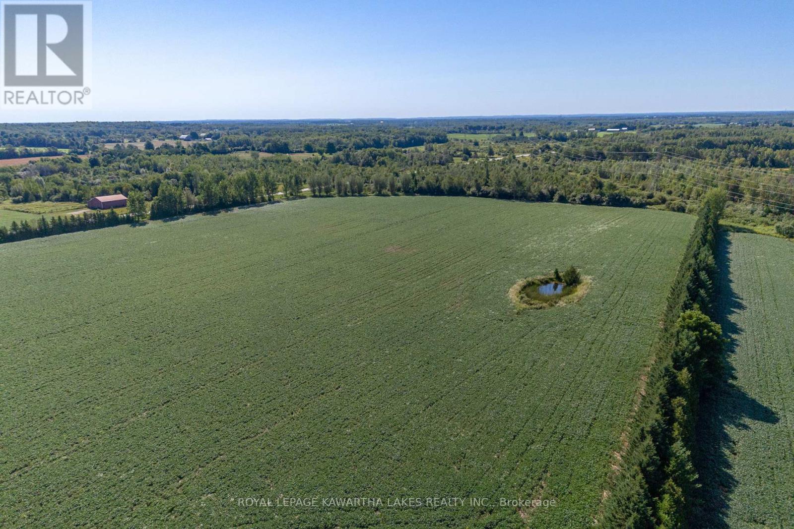 890 Woodville Road, Kawartha Lakes, Ontario  K0M 2T0 - Photo 2 - X12118452