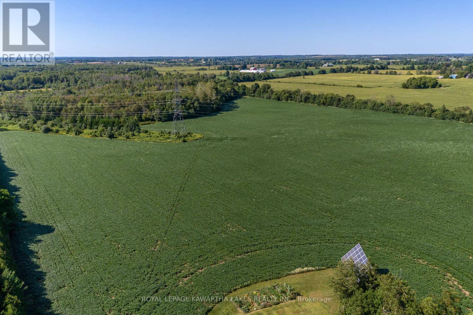 890 Woodville Road, Kawartha Lakes, Ontario  K0M 2T0 - Photo 3 - X12118452