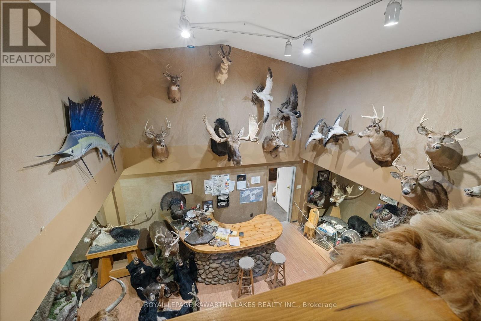 890 Woodville Road, Kawartha Lakes, Ontario  K0M 2T0 - Photo 46 - X12118452