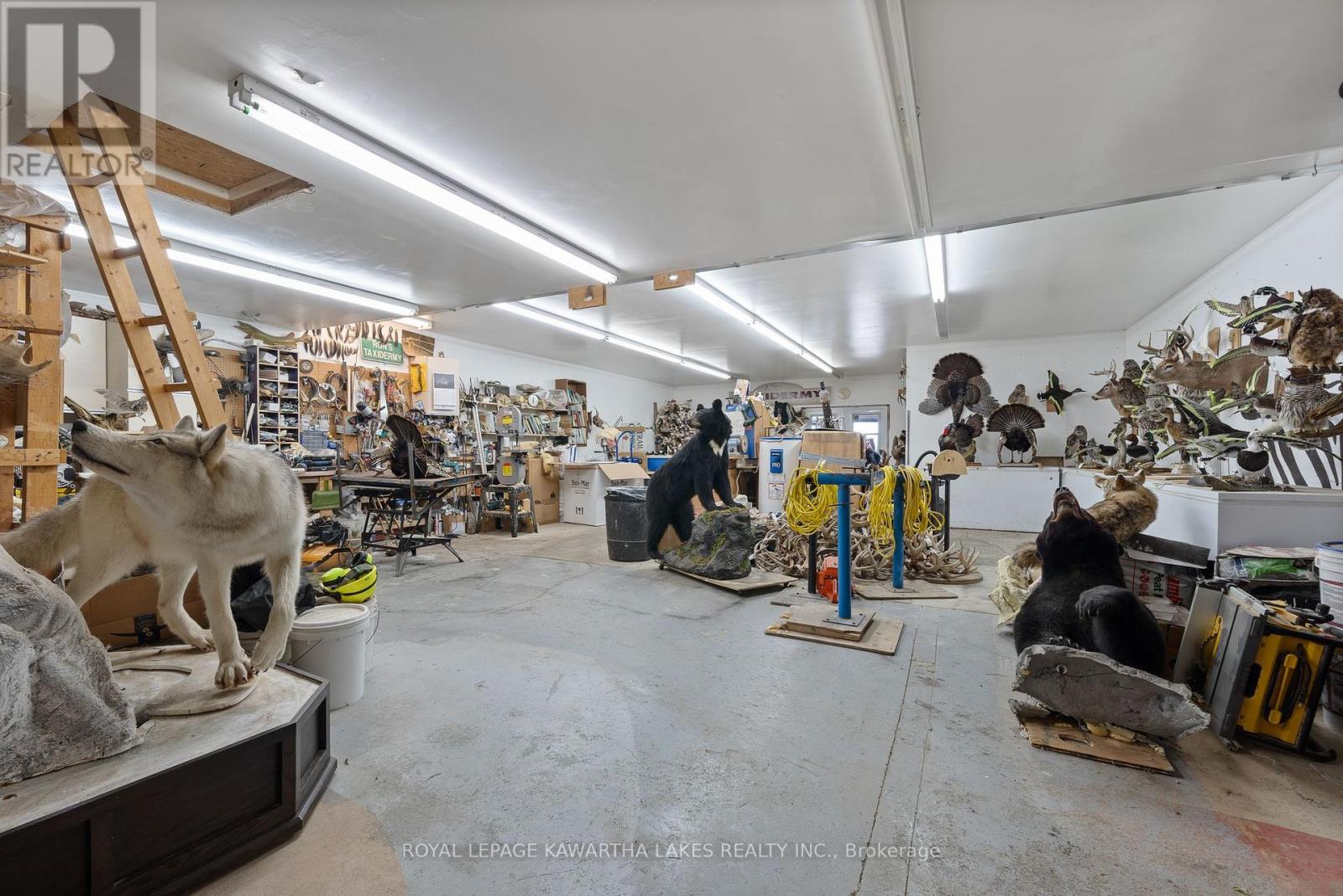 890 Woodville Road, Kawartha Lakes, Ontario  K0M 2T0 - Photo 47 - X12118452