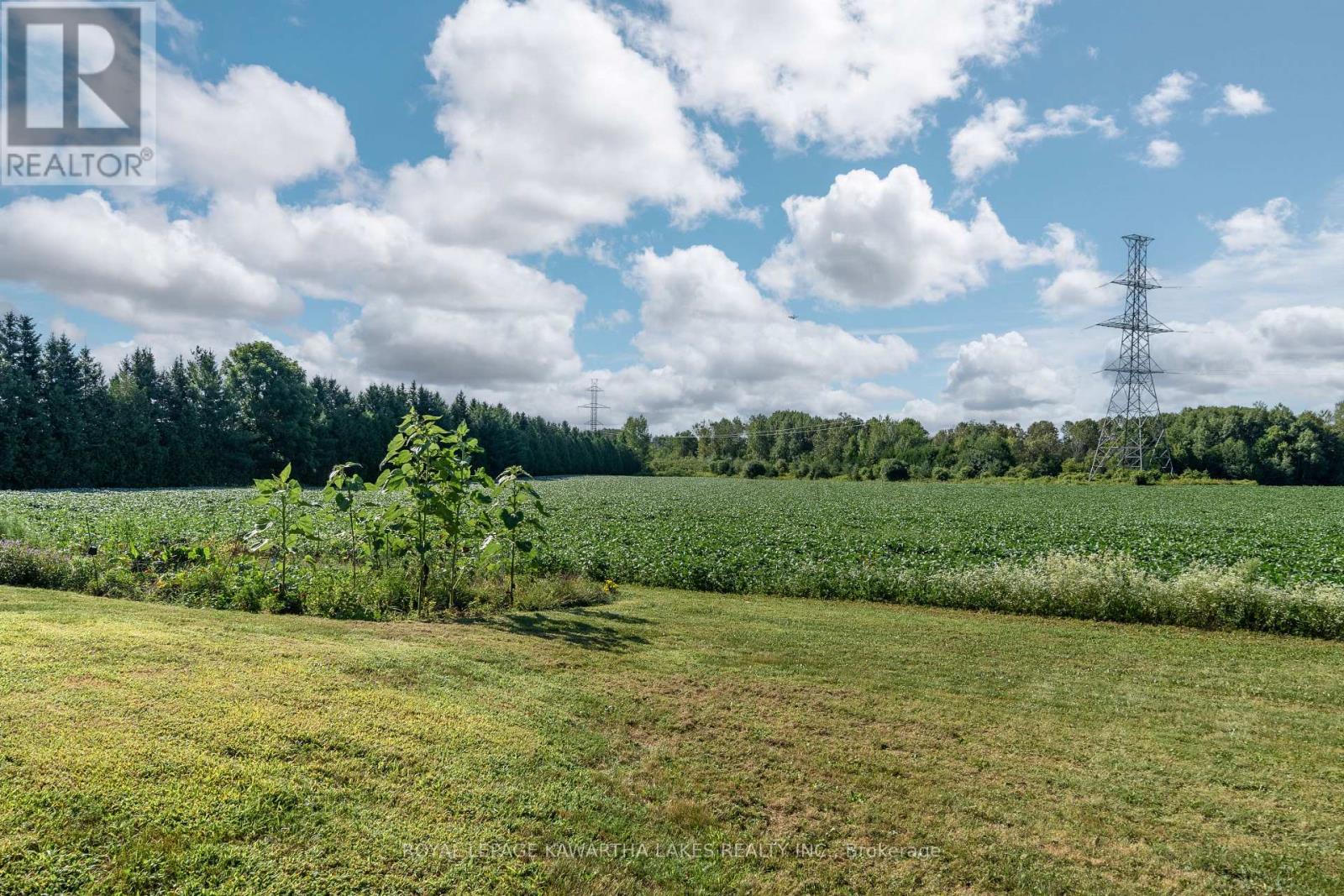 890 Woodville Road, Kawartha Lakes, Ontario  K0M 2T0 - Photo 8 - X12118452
