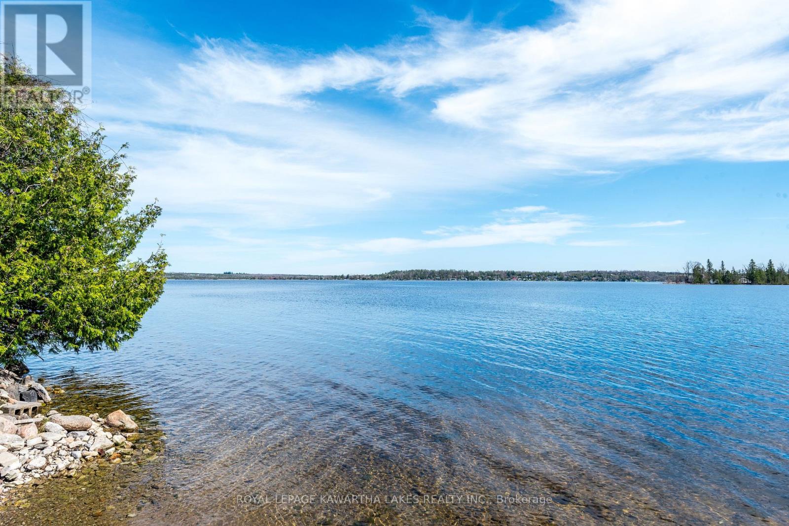 85 Thomas Drive, Kawartha Lakes, Ontario  K0M 1N0 - Photo 3 - X12118568