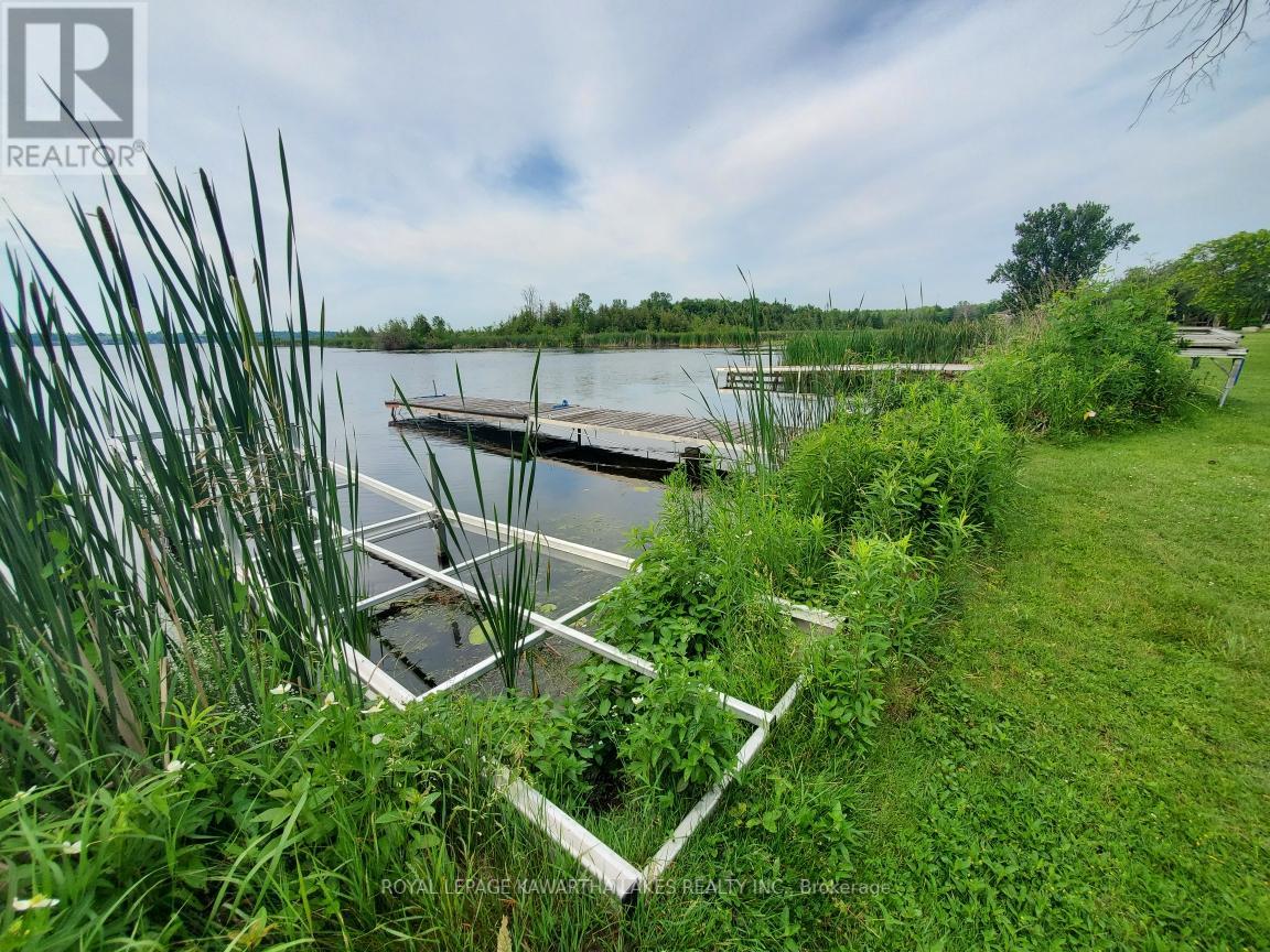 85 Thomas Drive, Kawartha Lakes, Ontario  K0M 1N0 - Photo 4 - X12118568