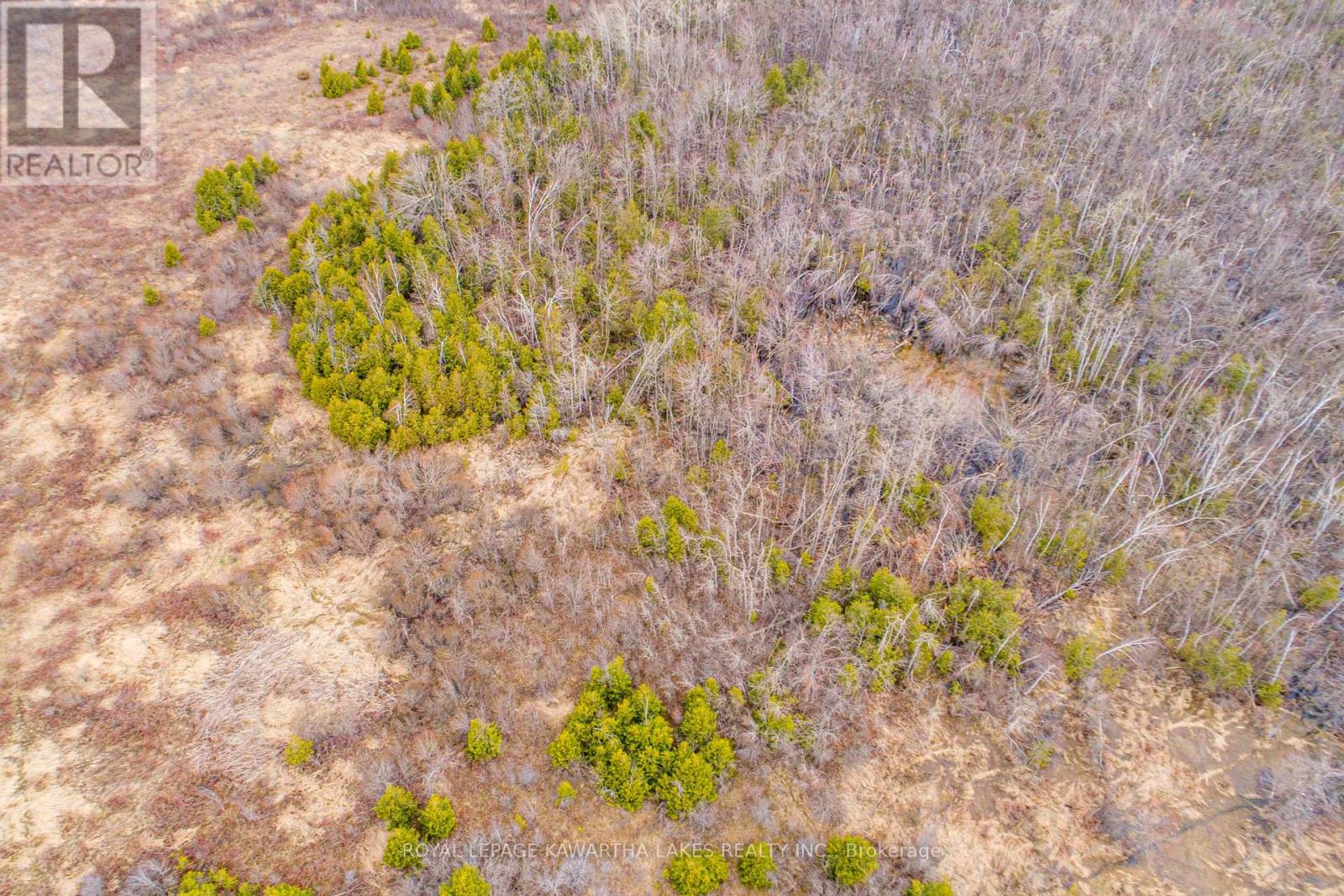 210 Grasshill Road, Kawartha Lakes, Ontario  K0M 2T0 - Photo 10 - X12120430