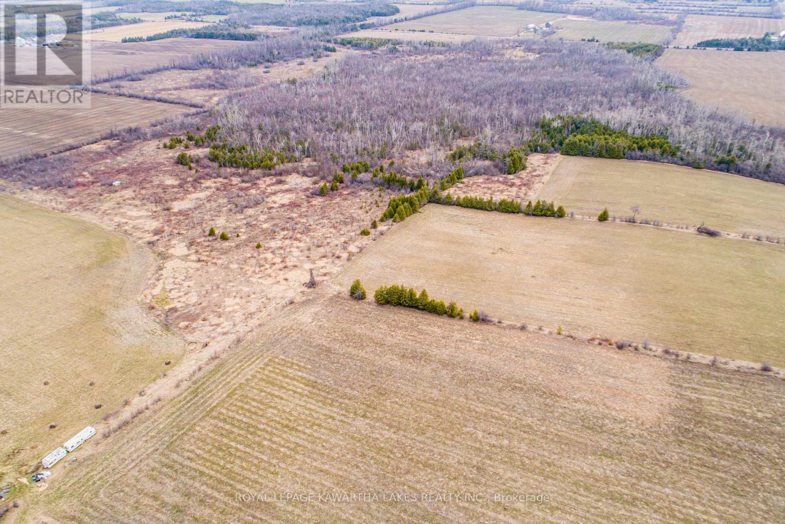 210 Grasshill Road, Kawartha Lakes, Ontario  K0M 2T0 - Photo 5 - X12120430