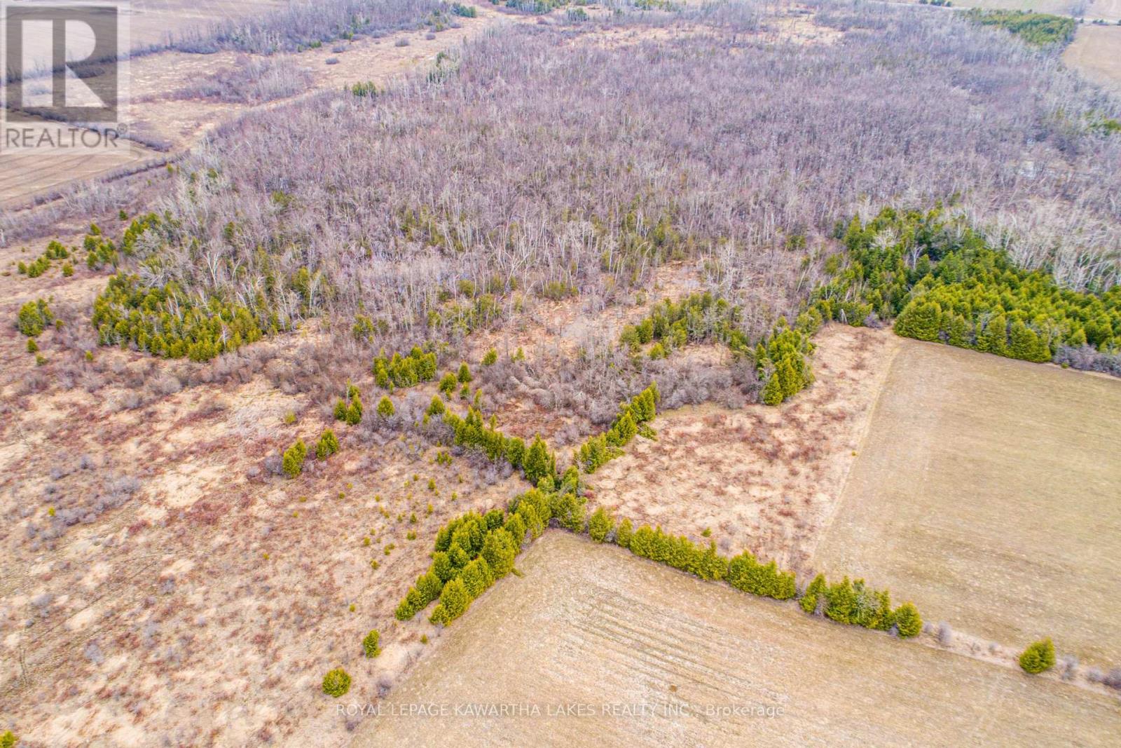 210 Grasshill Road, Kawartha Lakes, Ontario  K0M 2T0 - Photo 6 - X12120430