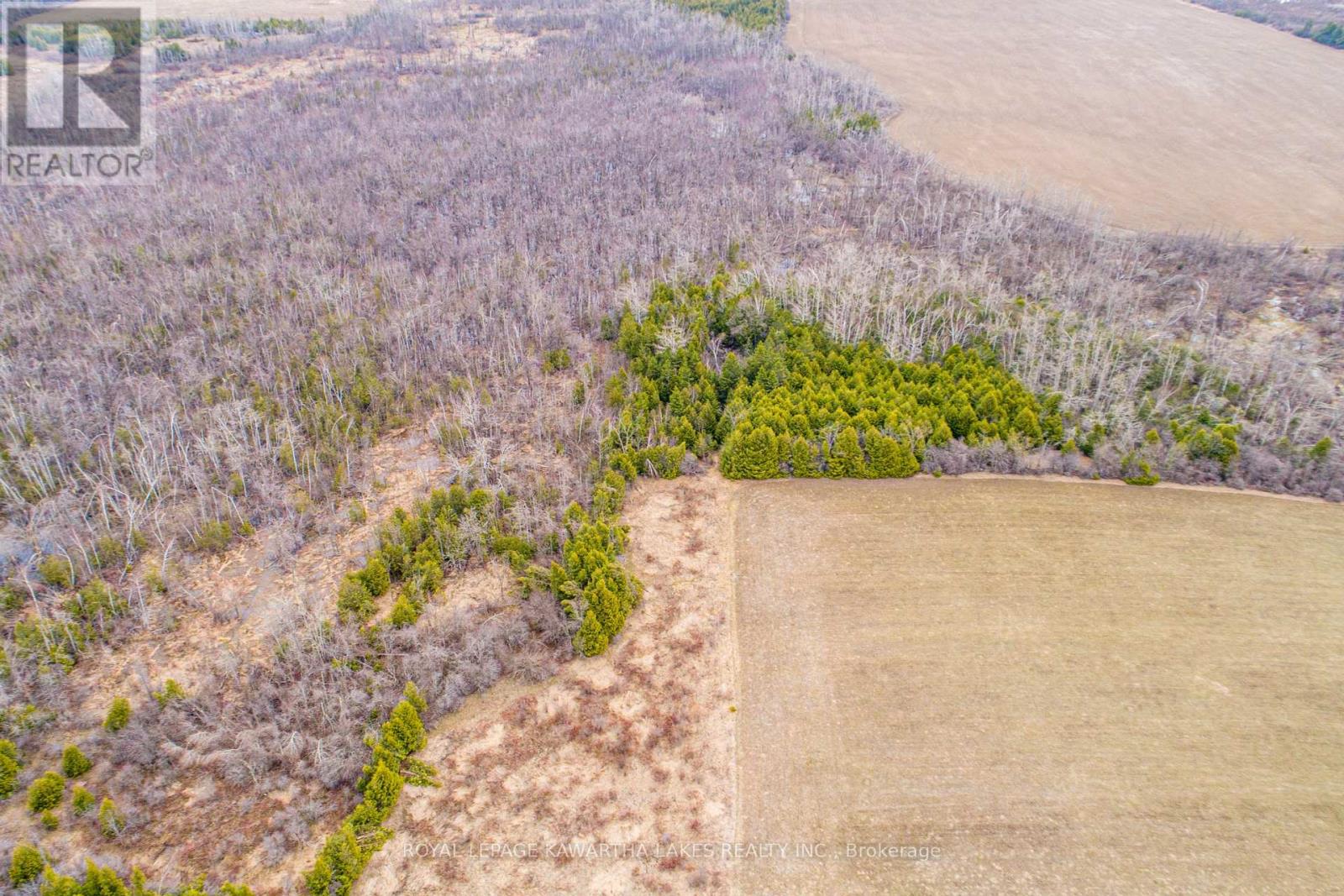 210 Grasshill Road, Kawartha Lakes, Ontario  K0M 2T0 - Photo 7 - X12120430
