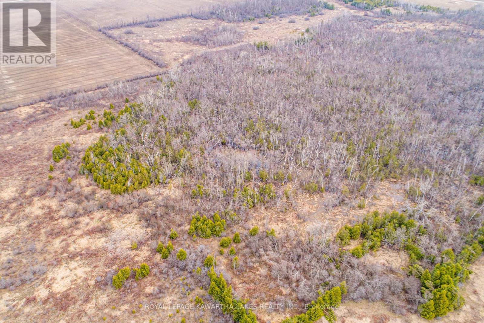 210 Grasshill Road, Kawartha Lakes, Ontario  K0M 2T0 - Photo 8 - X12120430