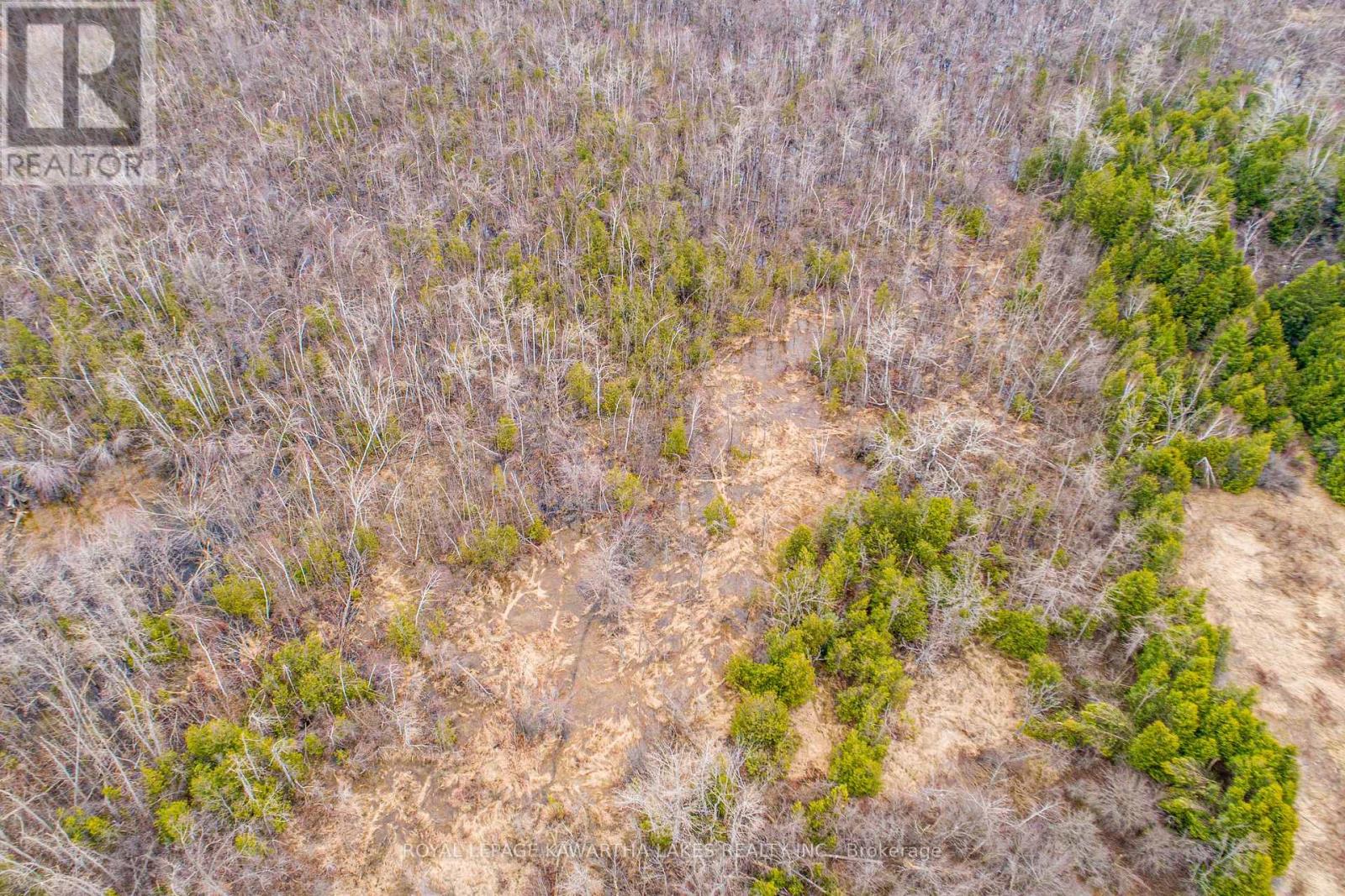 210 Grasshill Road, Kawartha Lakes, Ontario  K0M 2T0 - Photo 9 - X12120430