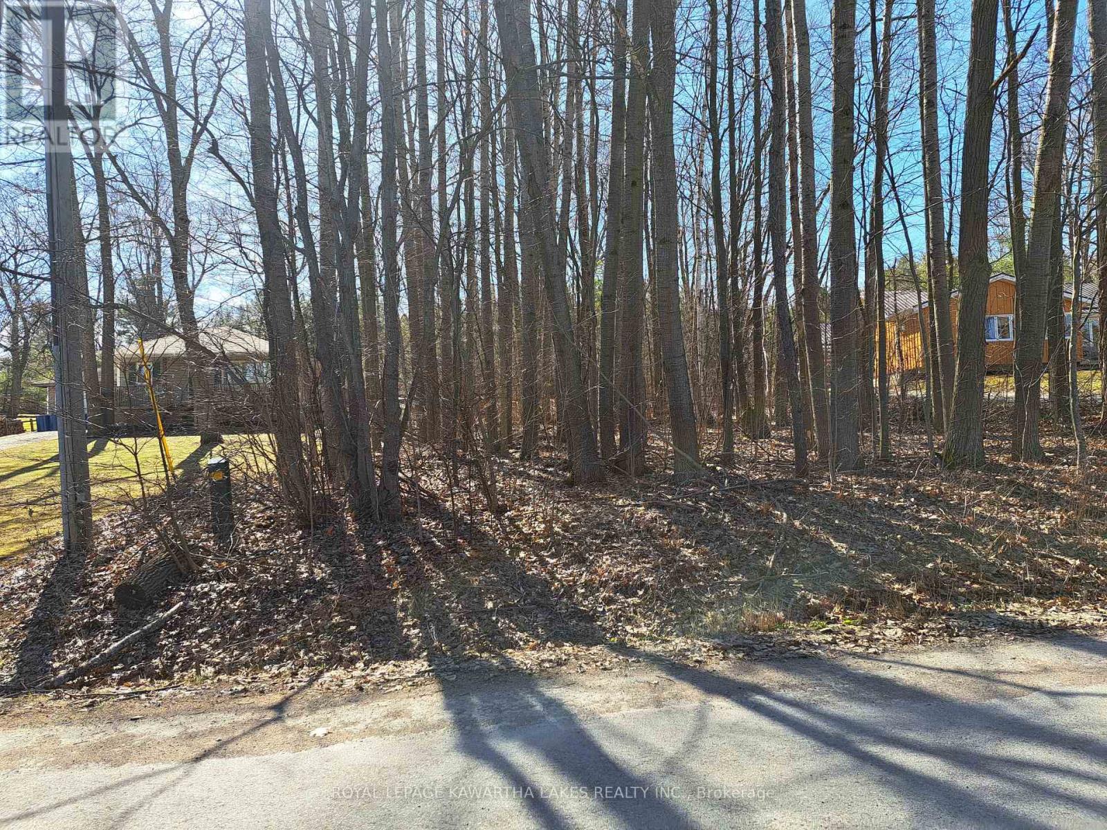 0 Poplar Drive, Hamilton Township, Ontario  K0L 1E0 - Photo 1 - X12122794