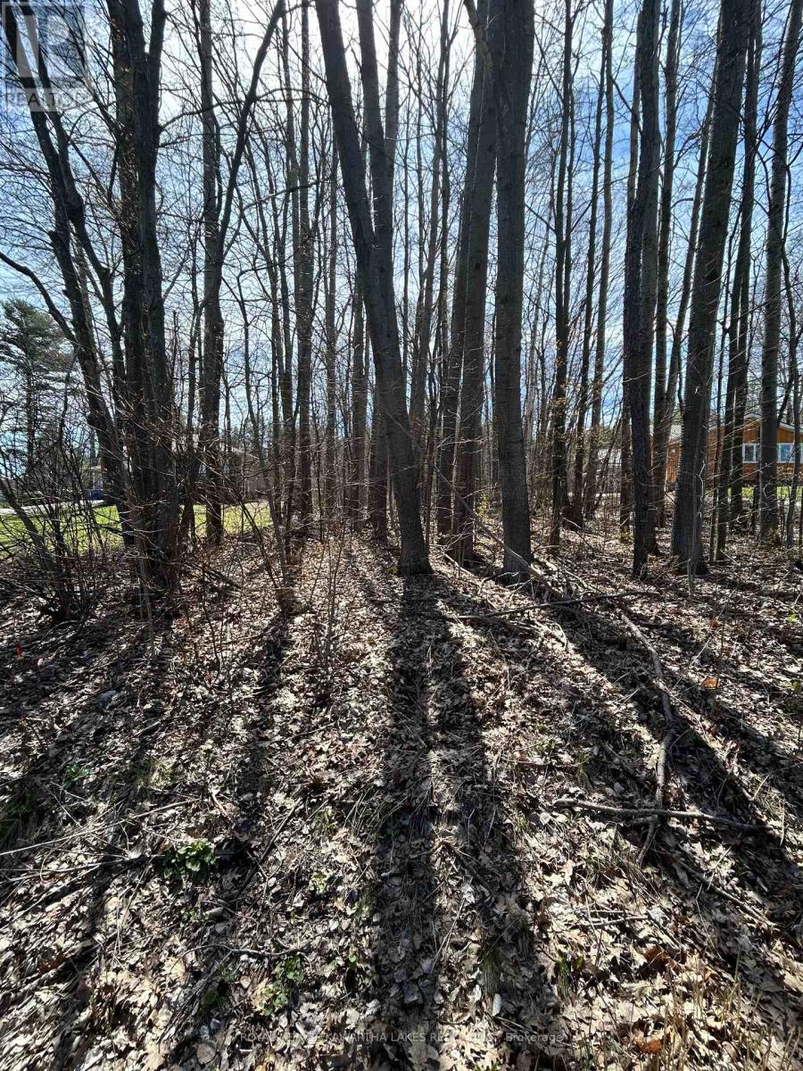0 Poplar Drive, Hamilton Township, Ontario  K0L 1E0 - Photo 2 - X12122794