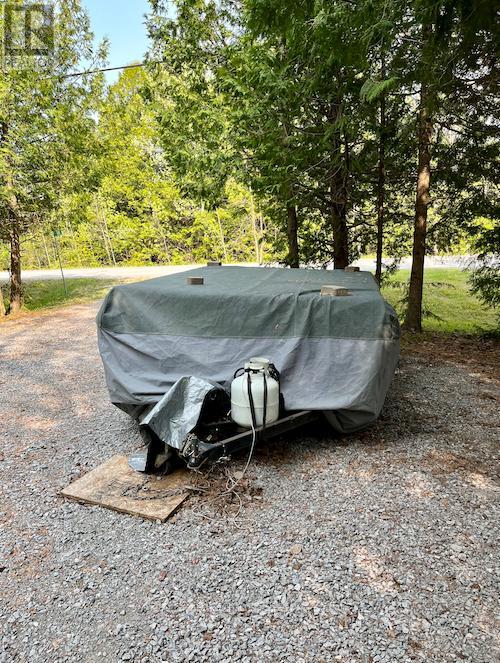 81 Mcguire Beach Road, Kawartha Lakes, Ontario  K0M 2B0 - Photo 37 - X12127841