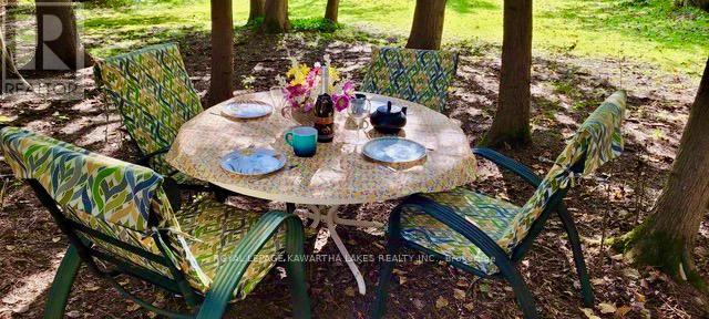 81 Mcguire Beach Road, Kawartha Lakes, Ontario  K0M 2B0 - Photo 40 - X12127841