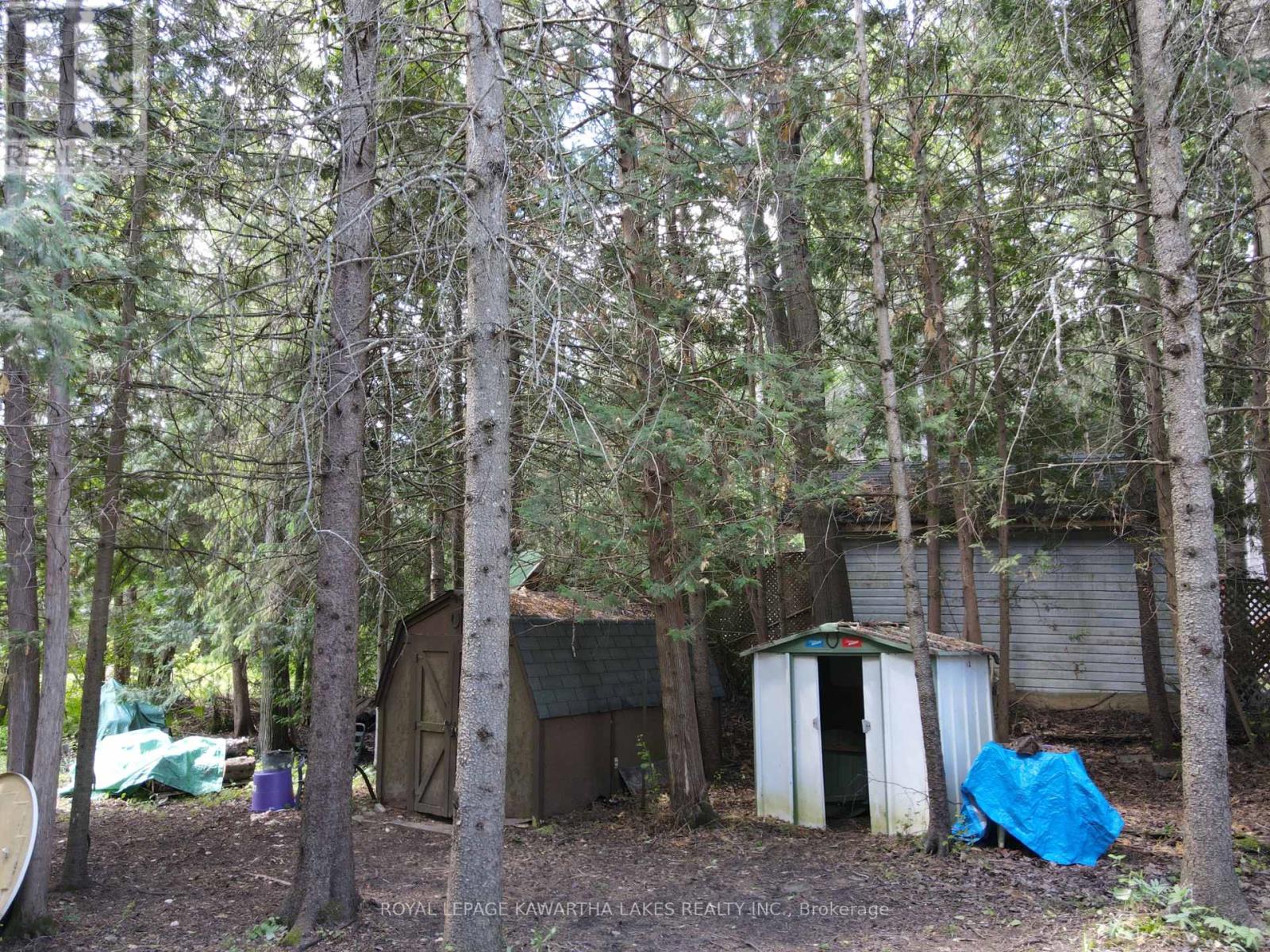 81 Mcguire Beach Road, Kawartha Lakes, Ontario  K0M 2B0 - Photo 44 - X12127841