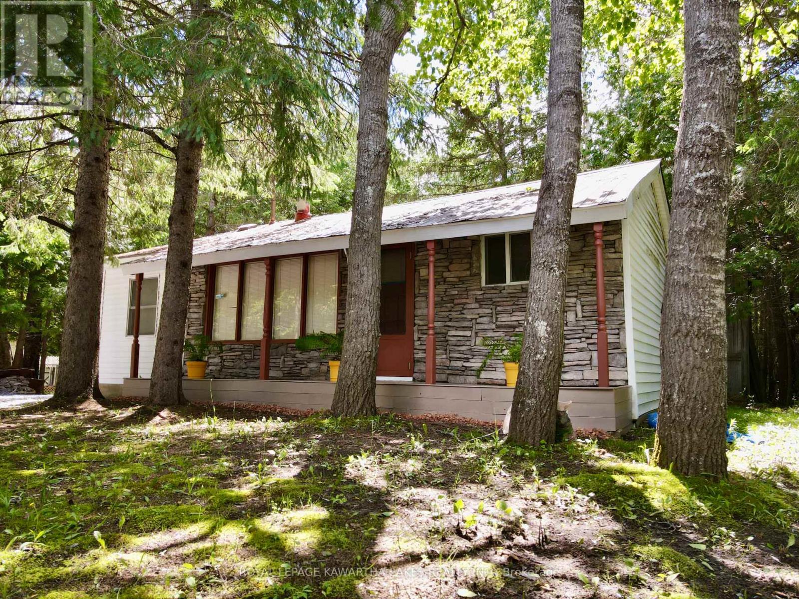 81 Mcguire Beach Road, Kawartha Lakes, Ontario  K0M 2B0 - Photo 6 - X12127841