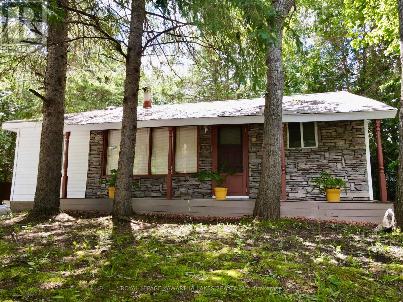 81 Mcguire Beach Road, Kawartha Lakes, Ontario  K0M 2B0 - Photo 7 - X12127841