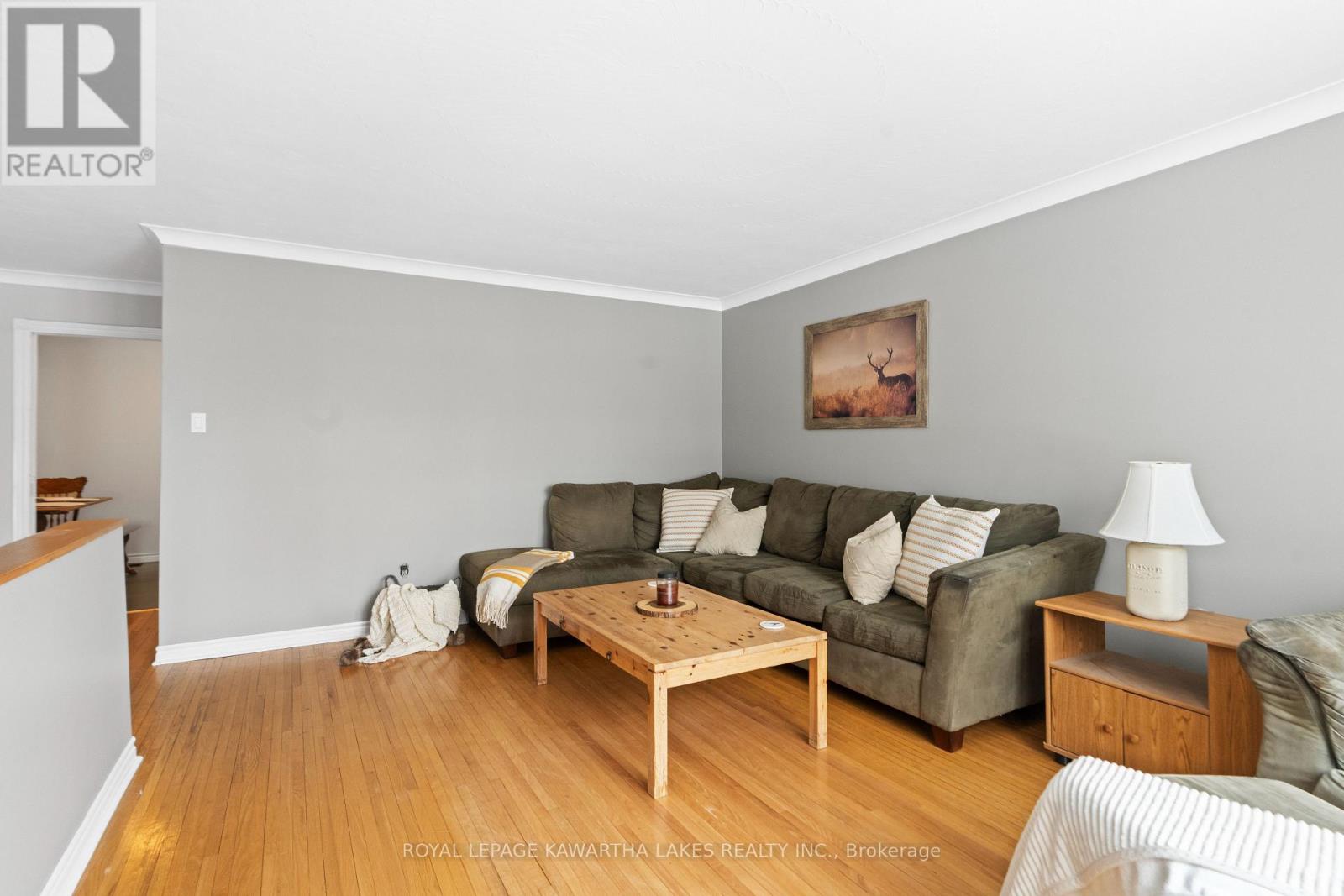 146 Queen Street, Kawartha Lakes, Ontario  K9V 1H1 - Photo 14 - X12129465