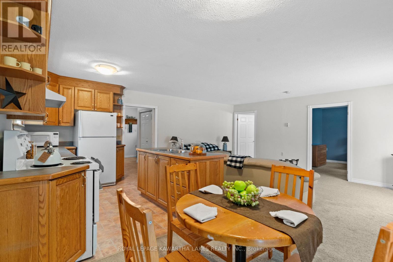 146 Queen Street, Kawartha Lakes, Ontario  K9V 1H1 - Photo 29 - X12129465
