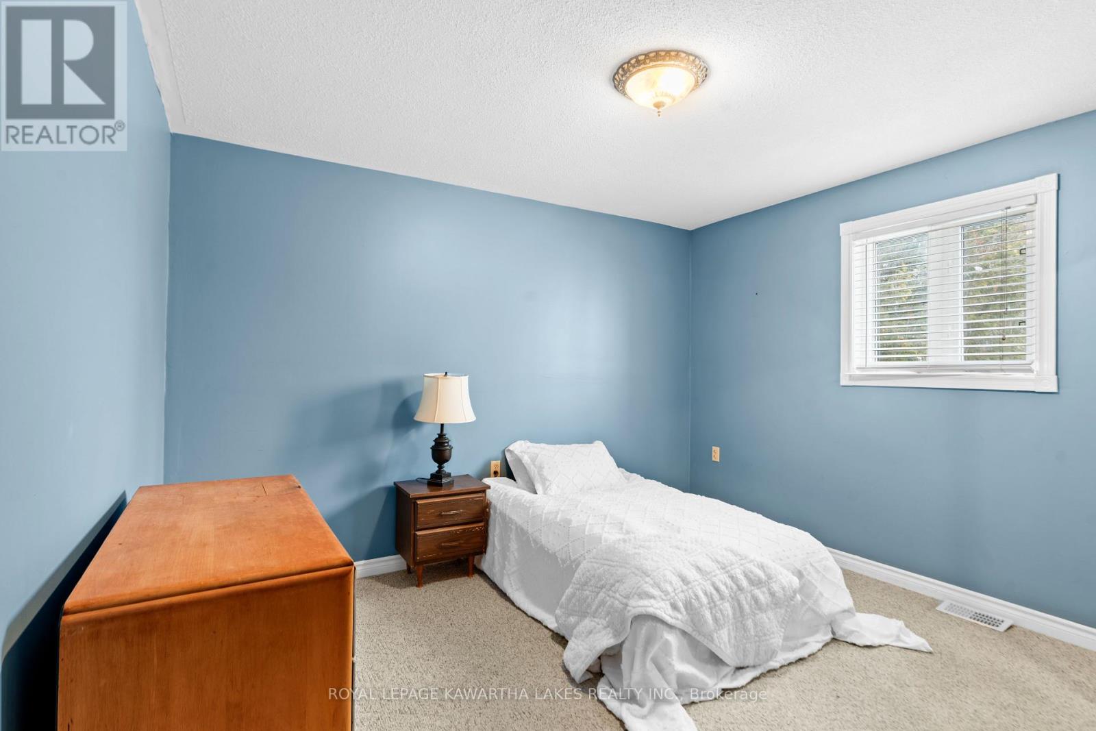 146 Queen Street, Kawartha Lakes, Ontario  K9V 1H1 - Photo 35 - X12129465