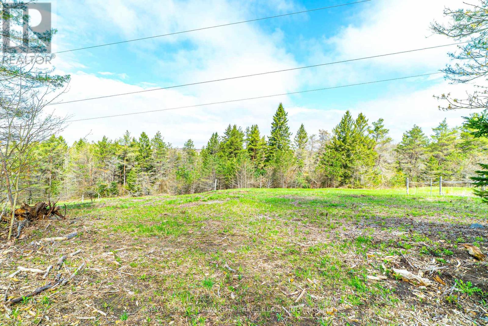 219 Pontypool Road, Kawartha Lakes, Ontario  L0A 1K0 - Photo 45 - X12133453