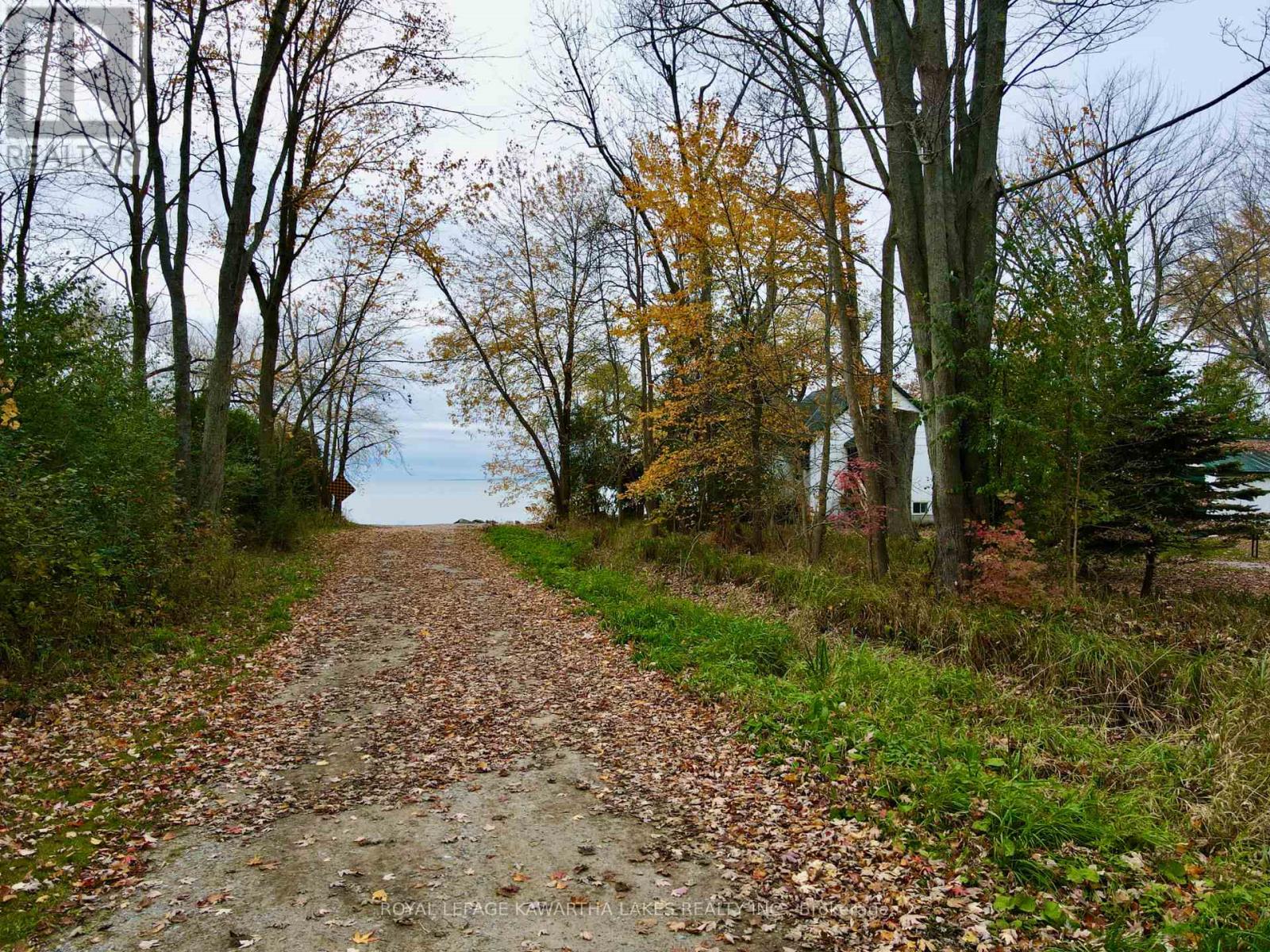 2501 Lakeshore Drive, Ramara, Ontario  L0K 1B0 - Photo 47 - S12133828