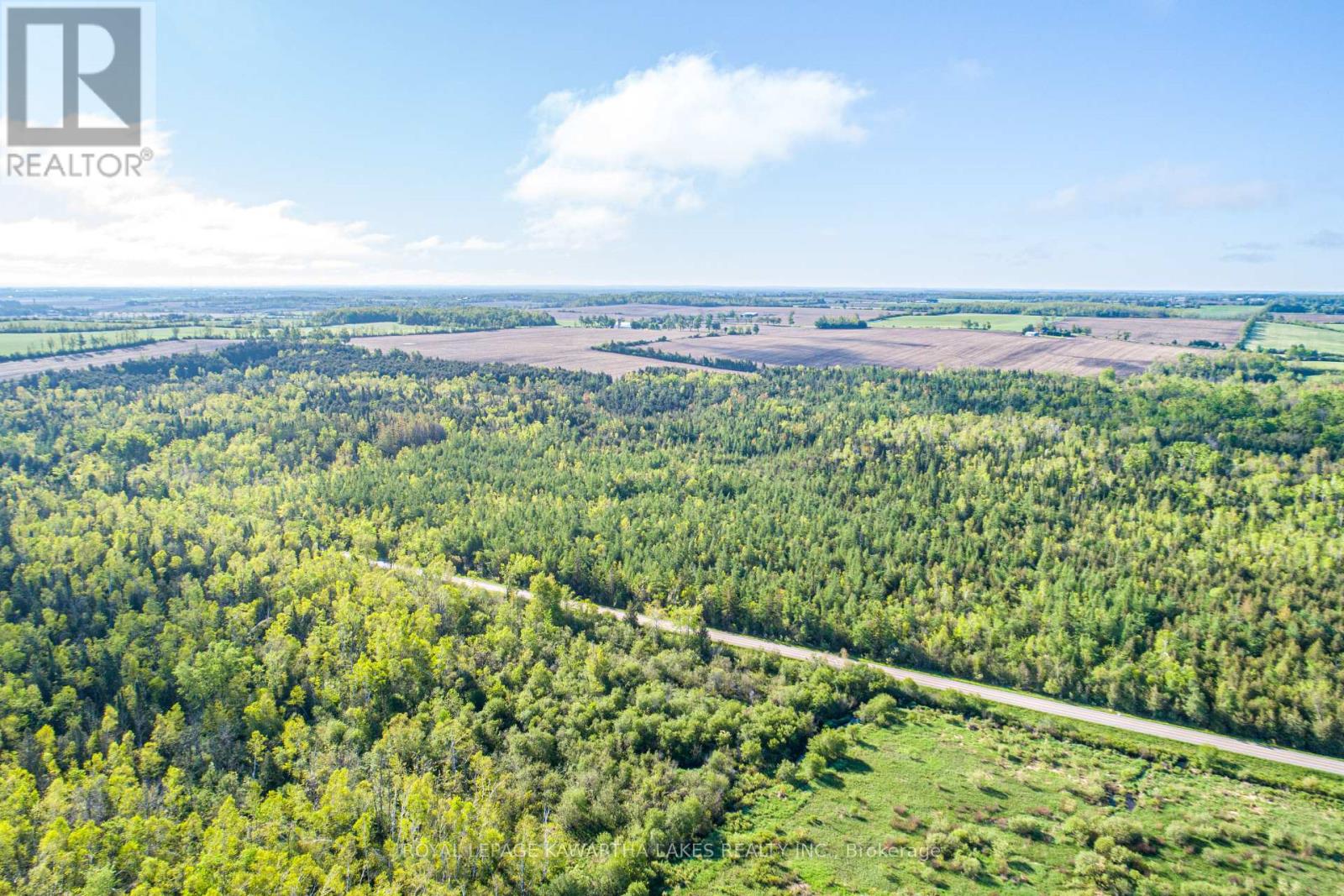Lot 3 Black School Road, Kawartha Lakes, Ontario  K0M 2C0 - Photo 13 - X12175477