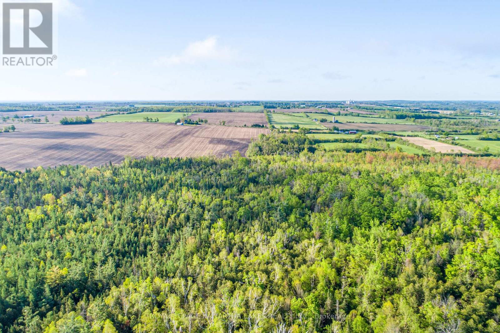 Lot 3 Black School Road, Kawartha Lakes, Ontario  K0M 2C0 - Photo 14 - X12175477