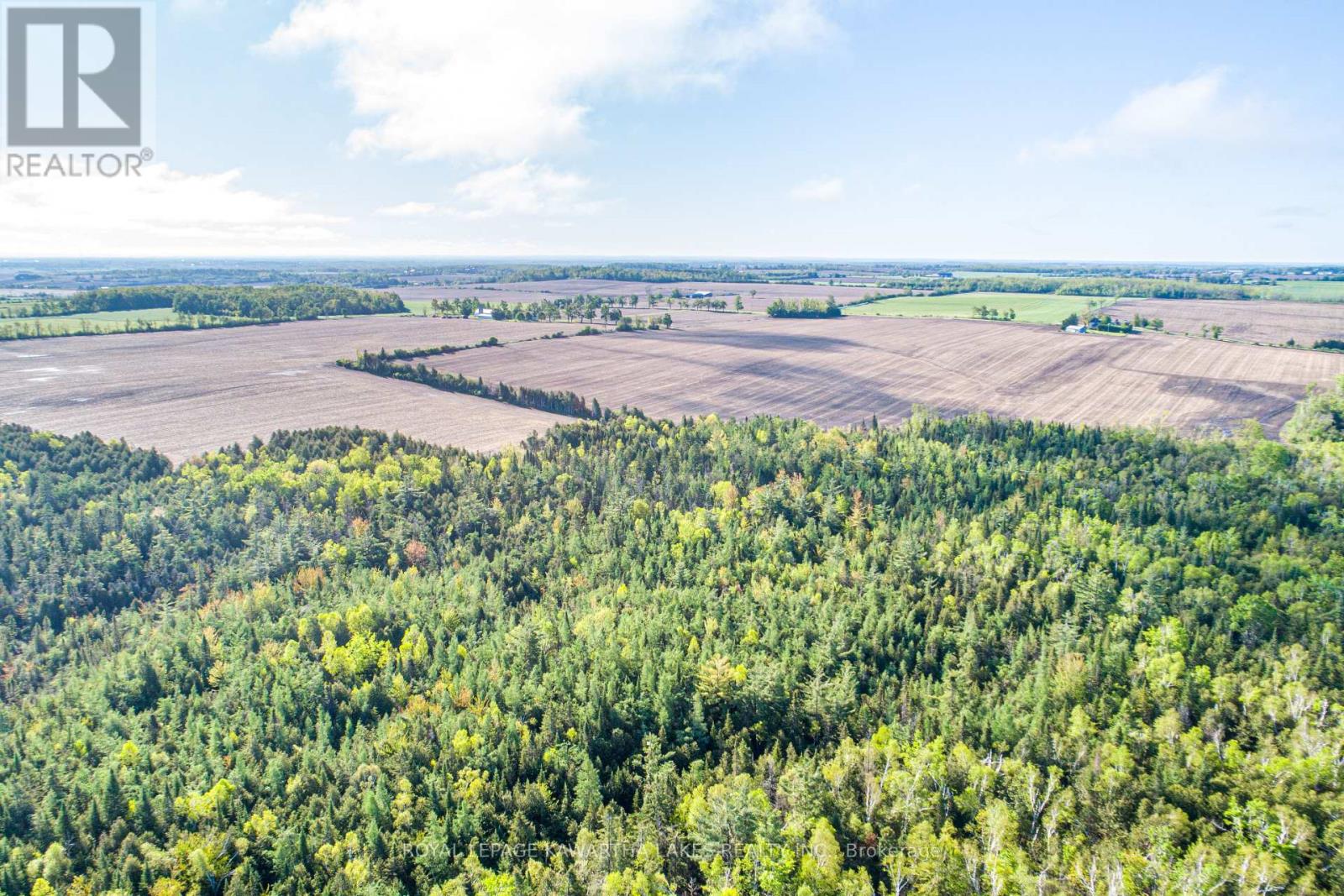Lot 3 Black School Road, Kawartha Lakes, Ontario  K0M 2C0 - Photo 15 - X12175477