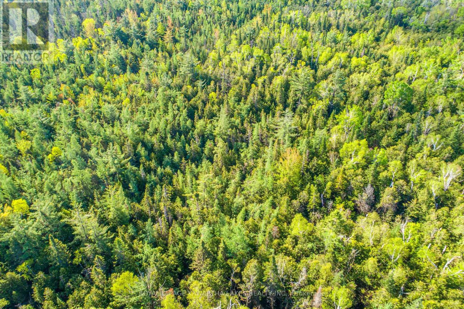 Lot 3 Black School Road, Kawartha Lakes, Ontario  K0M 2C0 - Photo 16 - X12175477