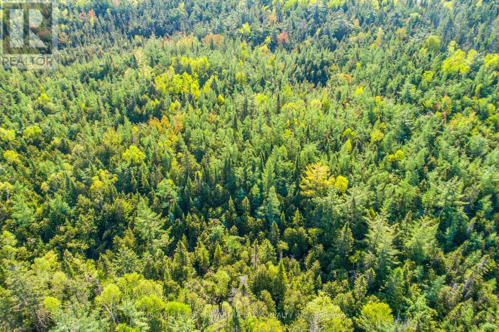 Lot 3 Black School Road, Kawartha Lakes, Ontario  K0M 2C0 - Photo 17 - X12175477