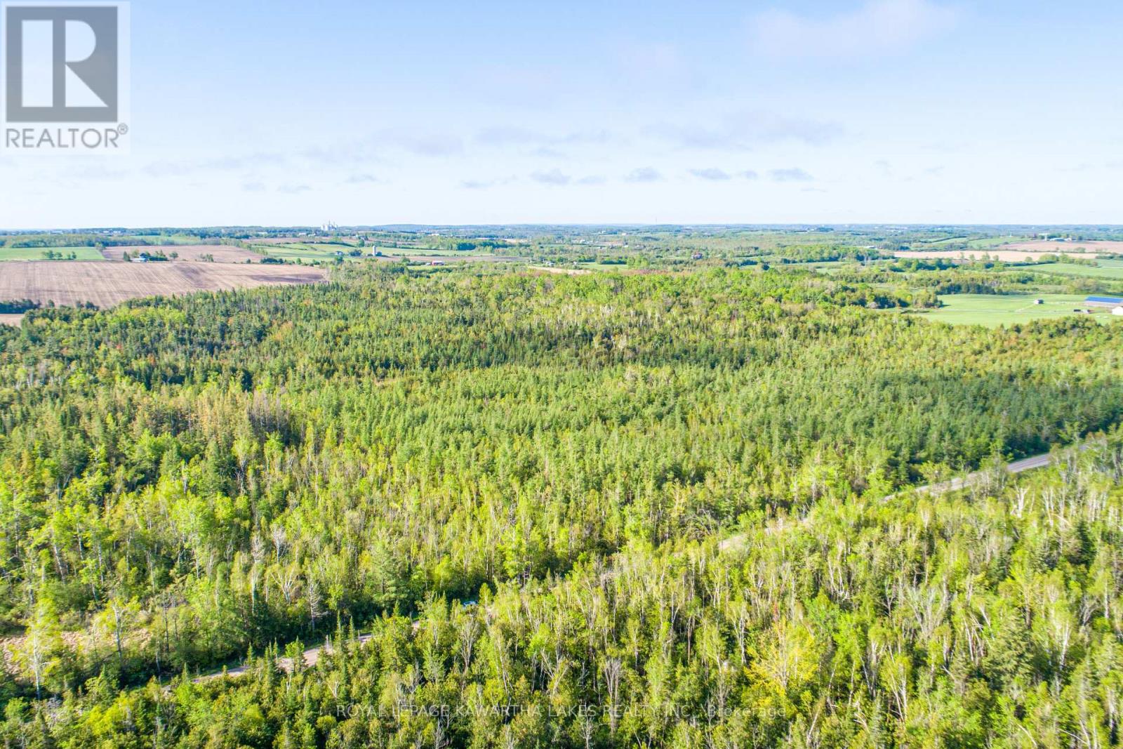 Lot 3 Black School Road, Kawartha Lakes, Ontario  K0M 2C0 - Photo 20 - X12175477