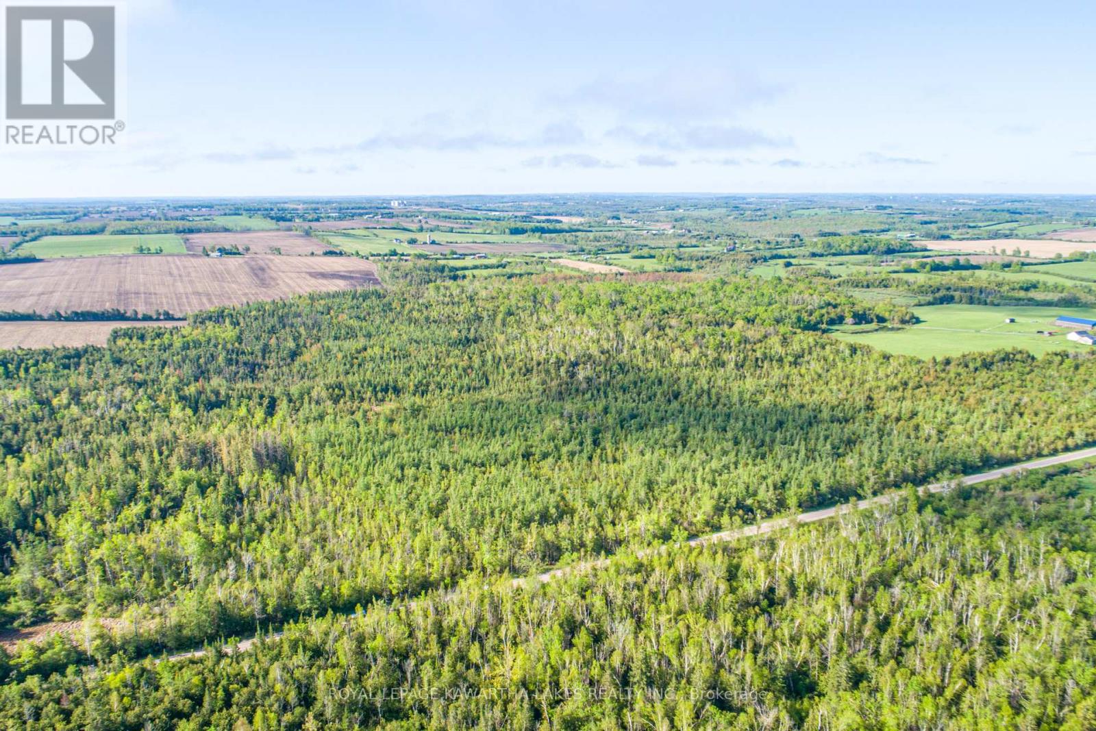 Lot 3 Black School Road, Kawartha Lakes, Ontario  K0M 2C0 - Photo 24 - X12175477