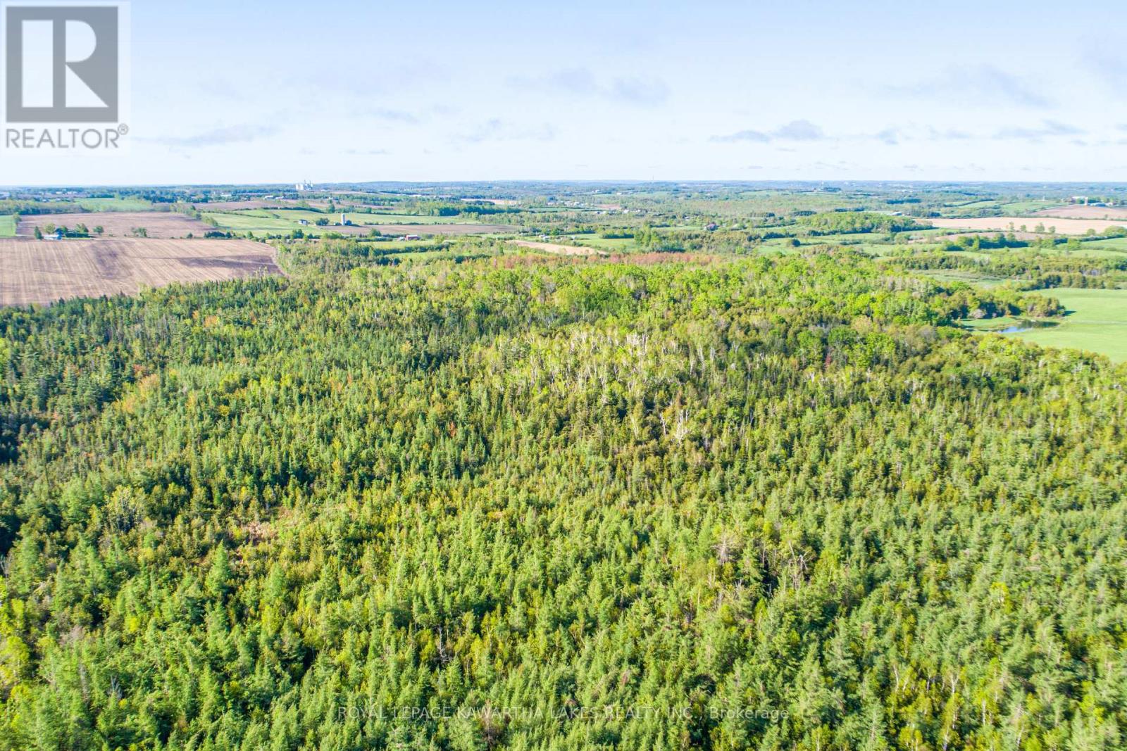 Lot 3 Black School Road, Kawartha Lakes, Ontario  K0M 2C0 - Photo 6 - X12175477
