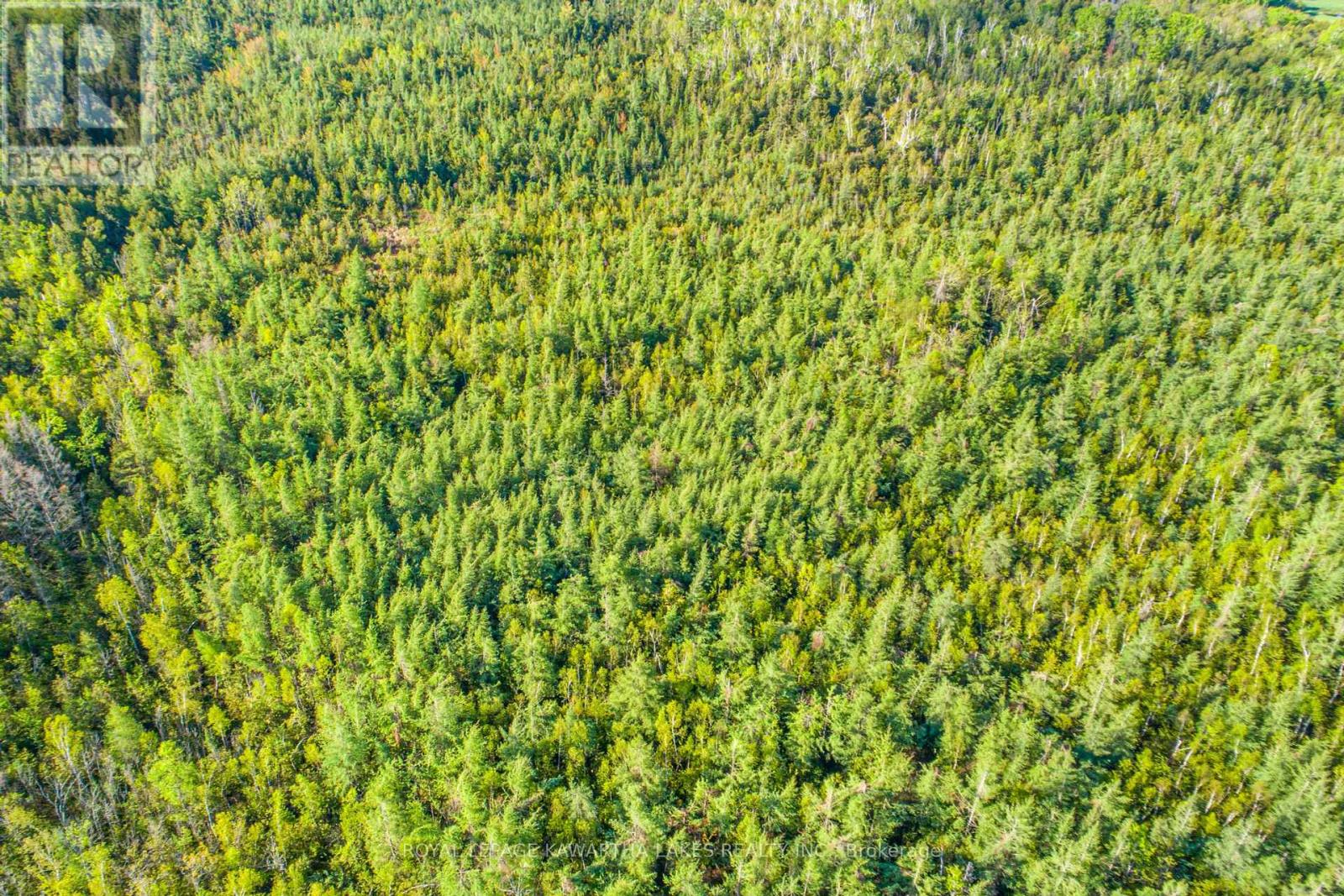 Lot 3 Black School Road, Kawartha Lakes, Ontario  K0M 2C0 - Photo 8 - X12175477