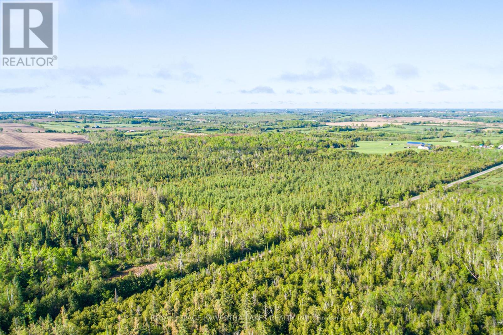 Lot 3 Black School Road, Kawartha Lakes, Ontario  K0M 2C0 - Photo 9 - X12175477
